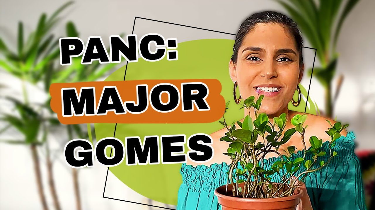 MAJOR-GOMES É PANC! | Mato no Prato