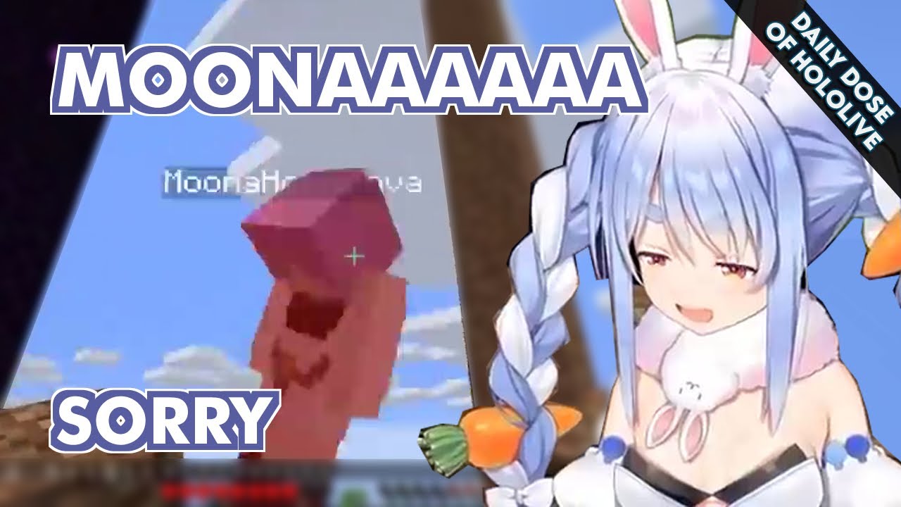 Pekora Useless Boss, Nene Salmon Onsen Disaster, Suisei 