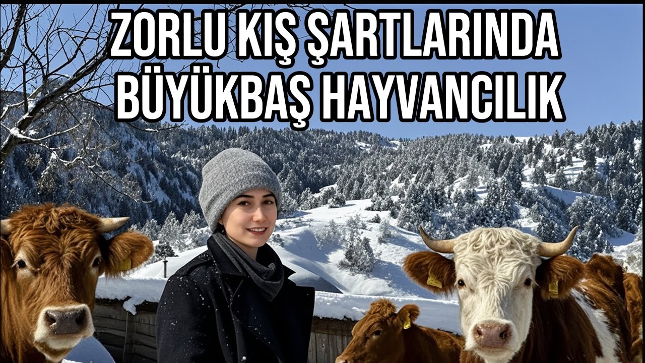 GERÇEK MÜCADELE BURADA BAŞLIYOR ../ KIŞIN ÇİFTLİKTE-KÖYDE BİR GÜNÜM /VLOG DEĞİL KAR ÇİLESİ ÇEKTİM☺️ 