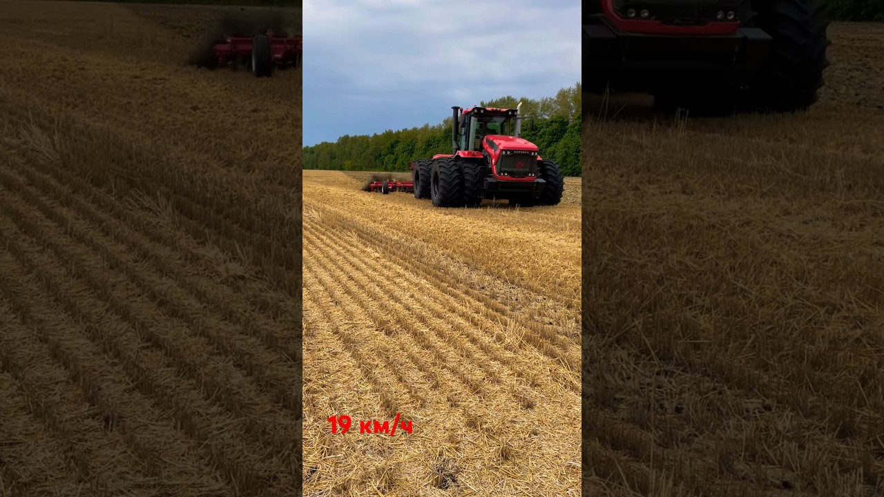 Horsch Joker 8RT Classik-лущение стерни , рабочая скорость 19 км/ч