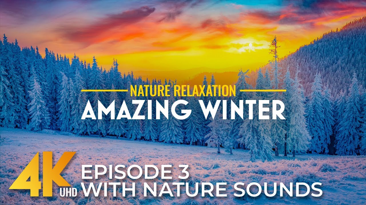 Winter Around the World in 4K | Calm Nature Sounds & Cinematic Landscapes - Episode 3
