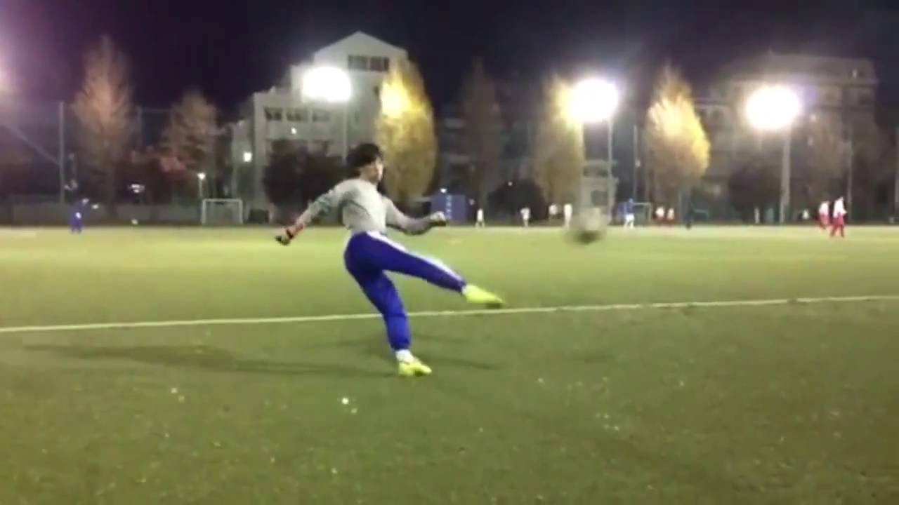 Side Volley Technique : パントキック : Goalkeeper