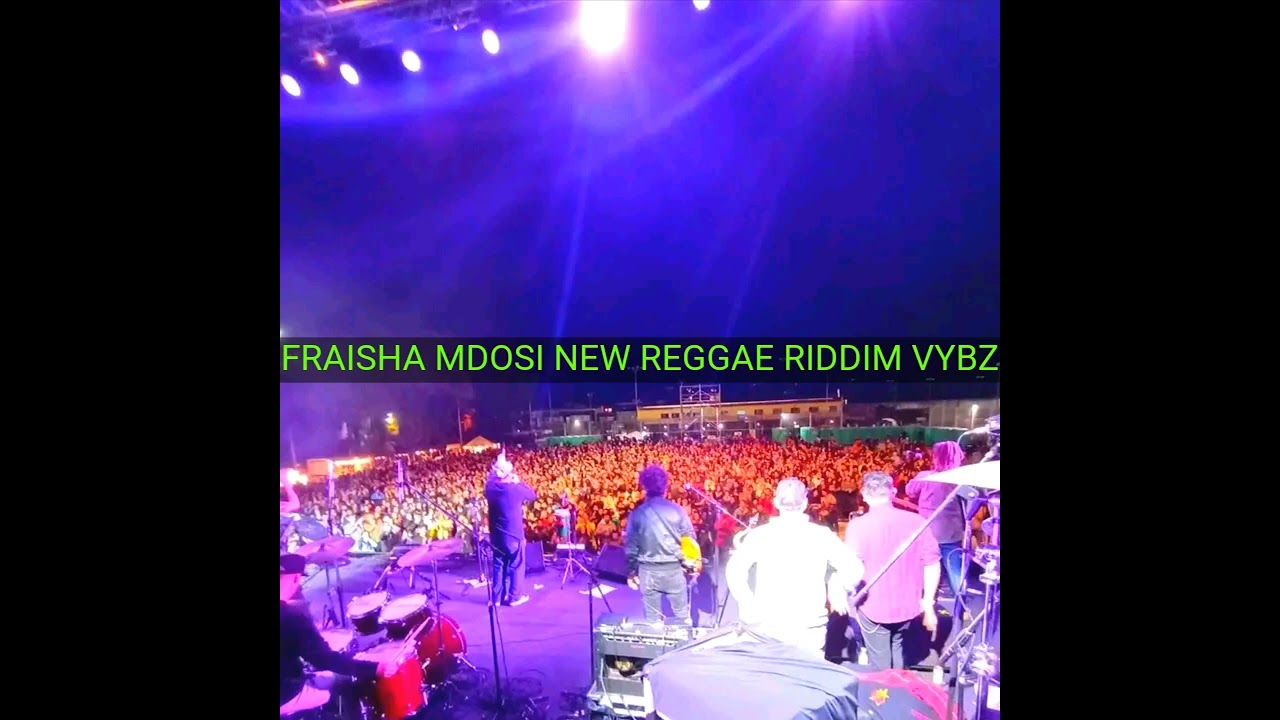 REGGAE RIDDIM VOL 2..Fraisha mdosi,skylarking,duck dance,ramdance style...