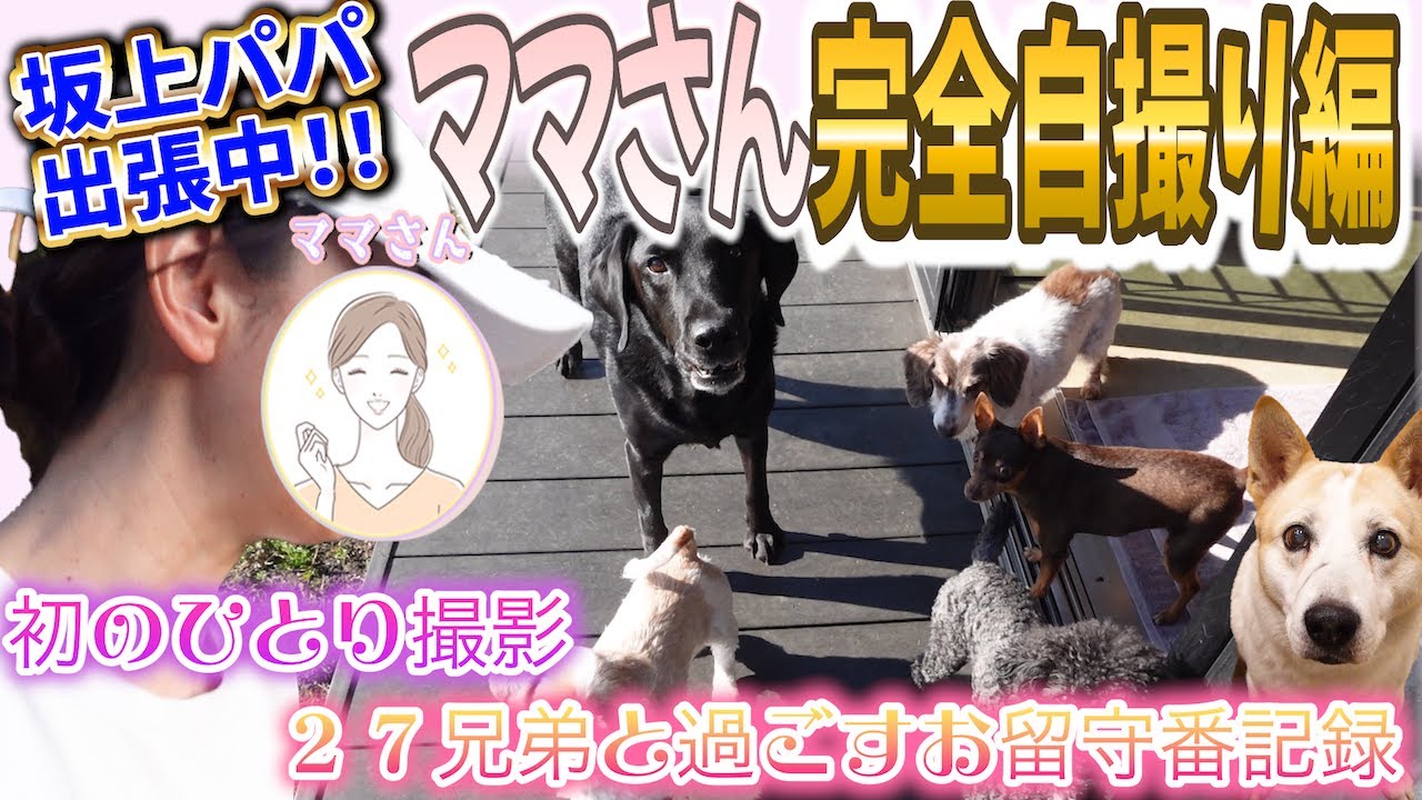 坂上パパ不在で重要ミッション発生！ママさんに託された日
