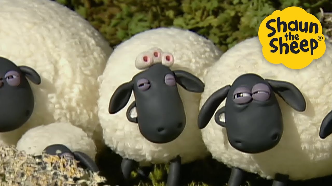 Mama Sheep🐑 Shaun the Sheep 🐑 - Cartoons for Kids 🐑 Full Episodes Compilation [1 hour]