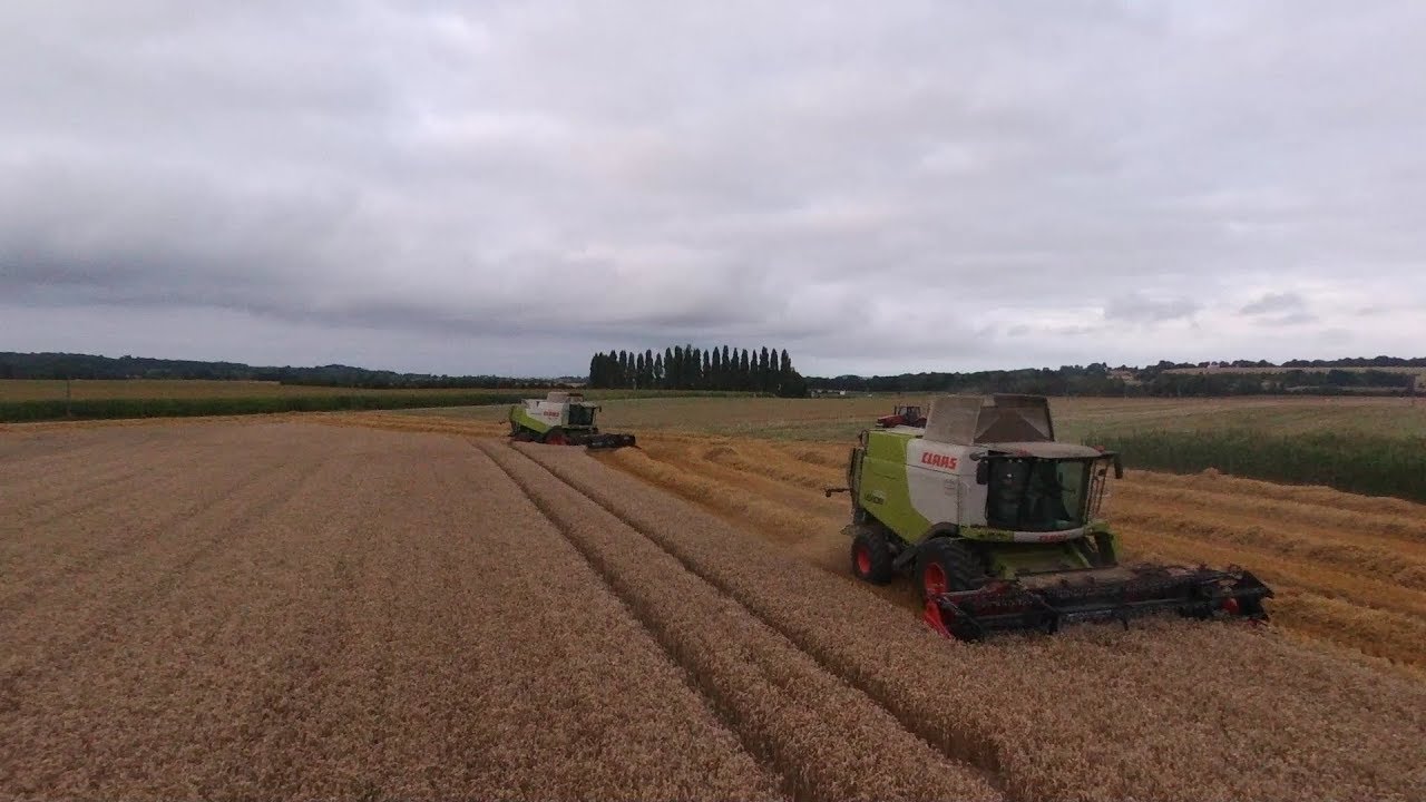 MOISSON HARVEST 2018 / Lexion 650-550 / GERINGHOFF / Magnum 280 / Maupu 24T