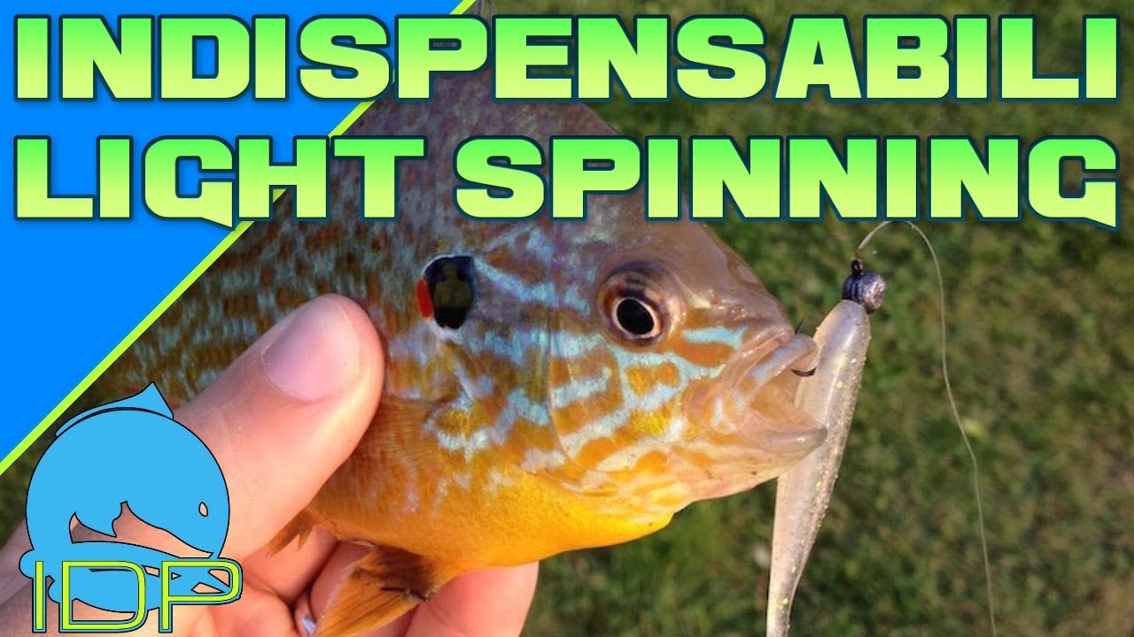 INDISPENSABILI da portare a LIGHT SPINNING