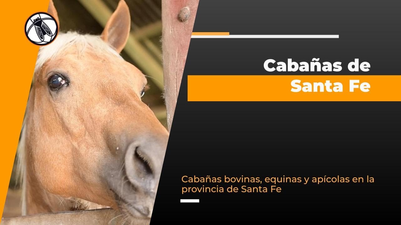 Bichos de Campo TV: Cabañas de Santa Fe