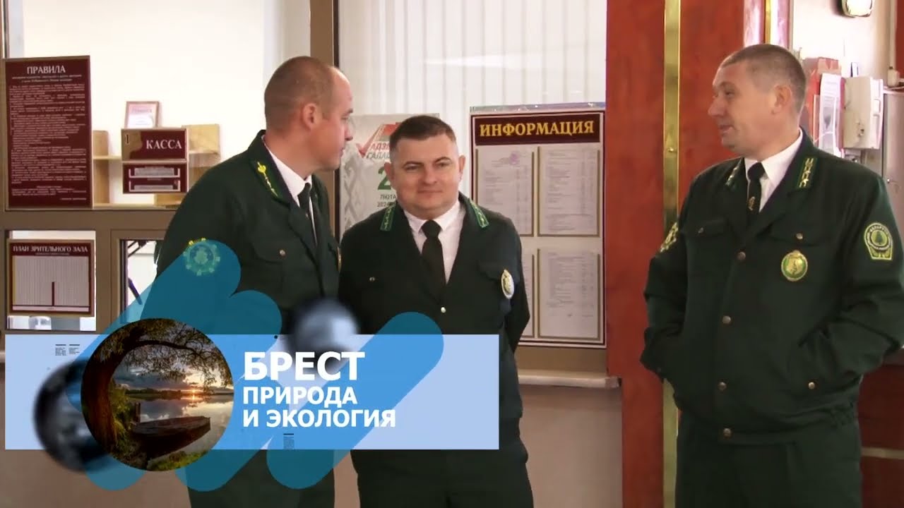 Лесное хозяйство Брестчины: успехи, планы и болевые точки