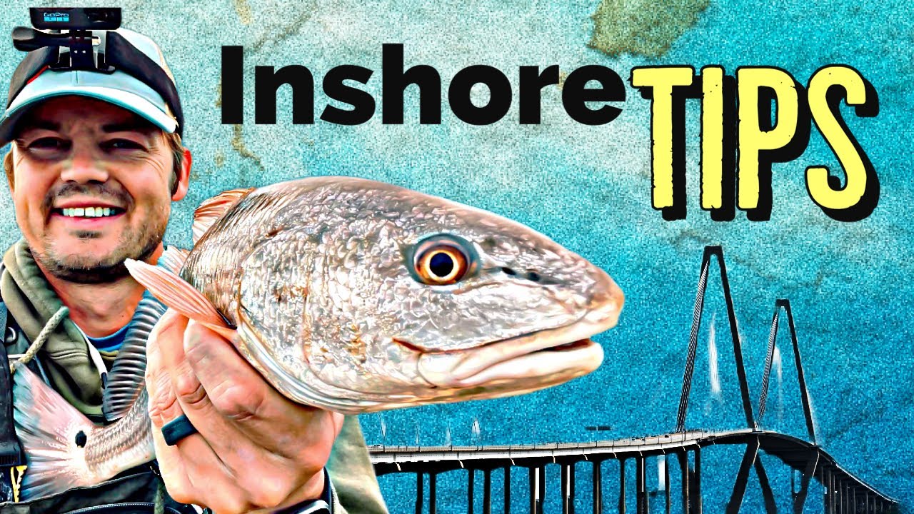 Советы по ловле морского окуня и морской форели в прибрежной зоне — Чарльстон, Южная Каролина