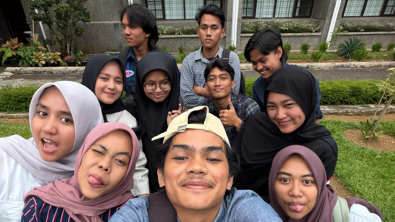 MINI-LOG GAJELASS 