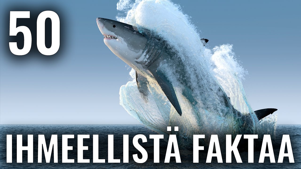 50 IHMEELLISTÄ FAKTAA MAAILMASTA #51