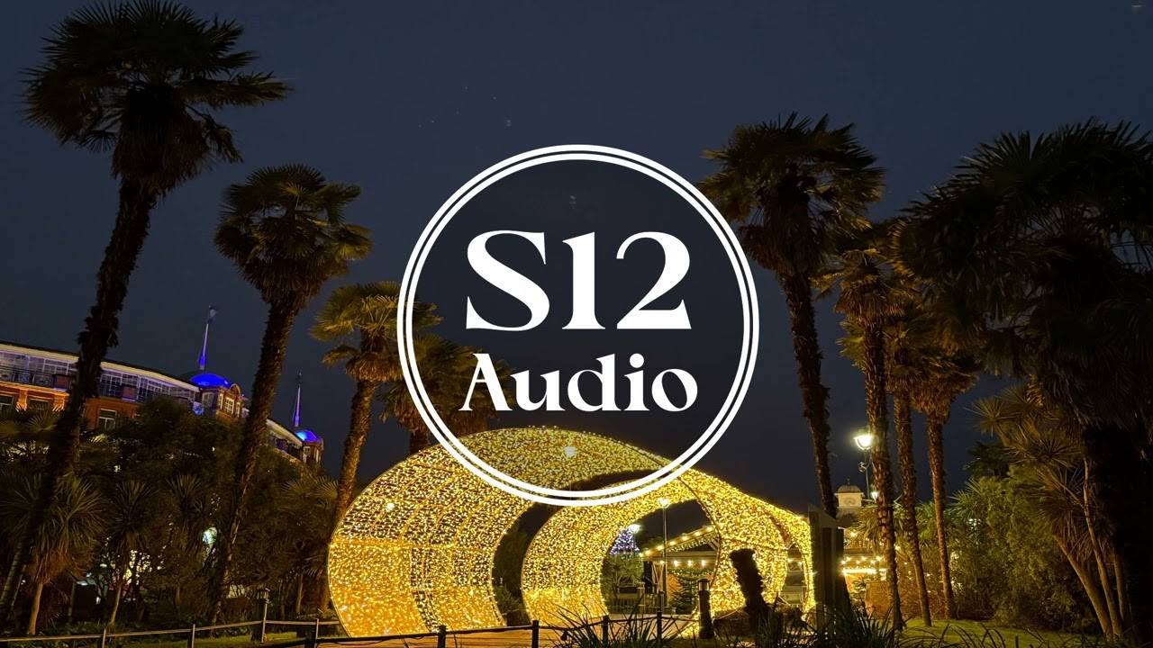 DJ Strong & Ensemble - Santa [S12 Audio]