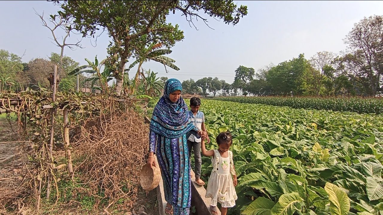 জুইয়ের এক ঘরে এত গুলো মানুষ কি ভাবে ঘুমায় । village life with jui