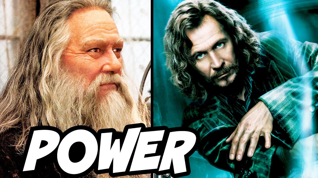 Top 6 Most POWERFUL Order of the Phoenix Members (RANKED) - Harry Potter Theory