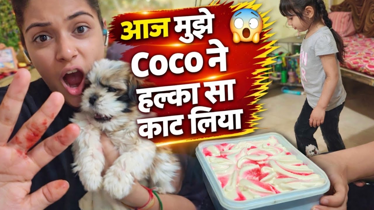 आज Coco ने मुझे काट लिया 😳 |  | बच्चों के साथ खेल और Ice Cream 🍦#shihtzu #dogvlog #cutedog