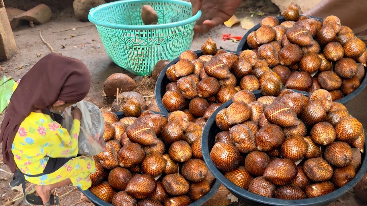 KELEWAT VIRAL ! YANG MAKAN SAMPE NGEMPER DI KEBON | JUALAN RUJAK SALAK GAK PERNAH SEPI PEMBELI