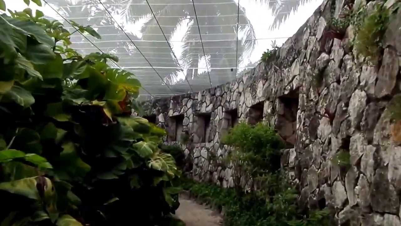 Xcaret Eco Theme Park Butterfly Pavilion
