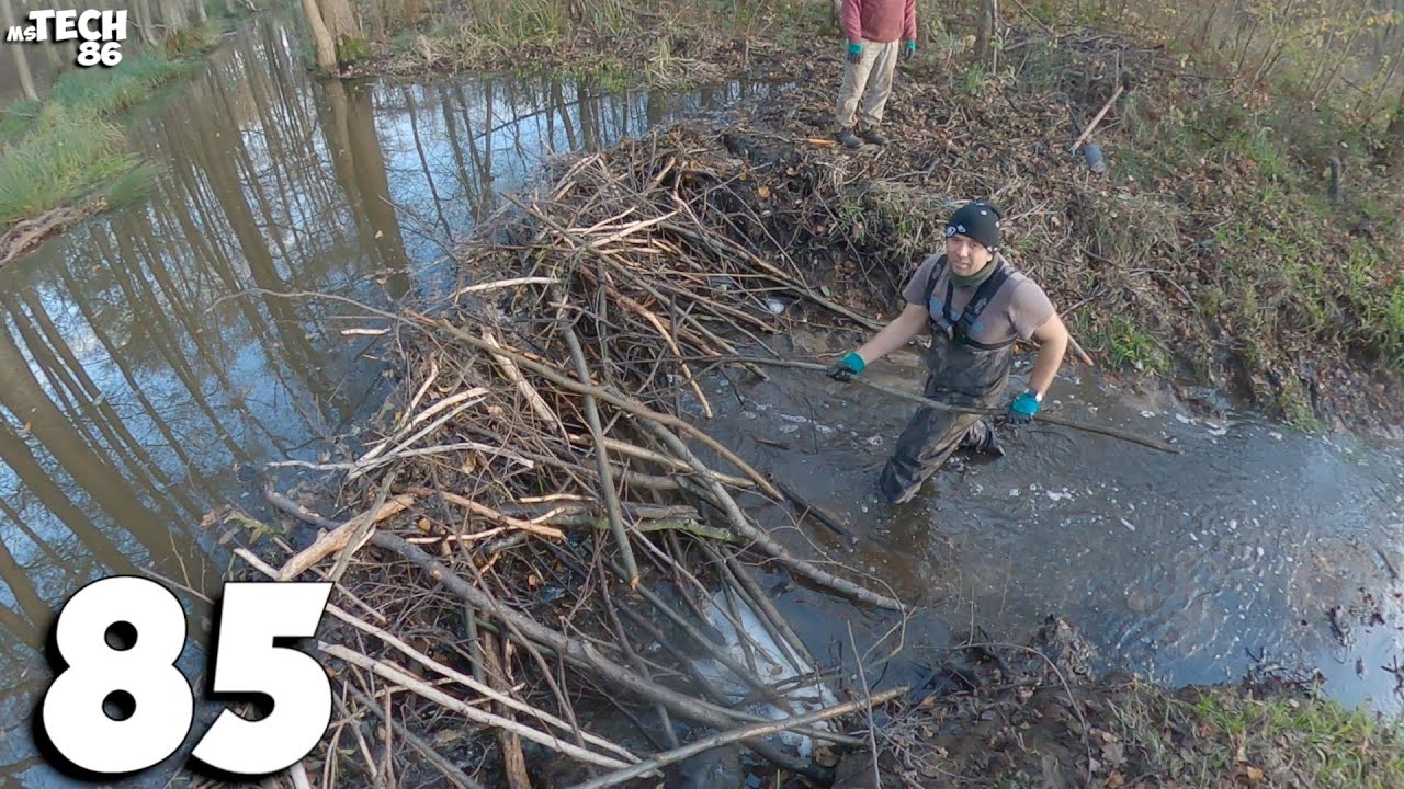 Manual Beaver Dam Removal With My Dad No.85