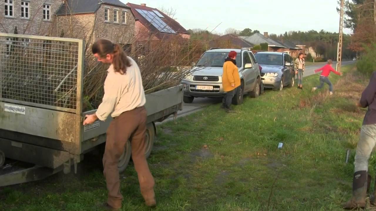Guerilla bebossing op een mislukt stuk natuurpunt - gebied