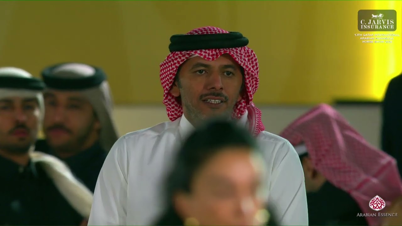 N 52 TAIM AL RAYYAN   13th Qatar International Arabian Peninsula Horse Show 2024   Yearling Colts Cl