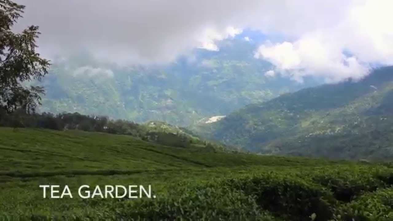 Sikkim travel Documentary: Places to visit in Sikkim