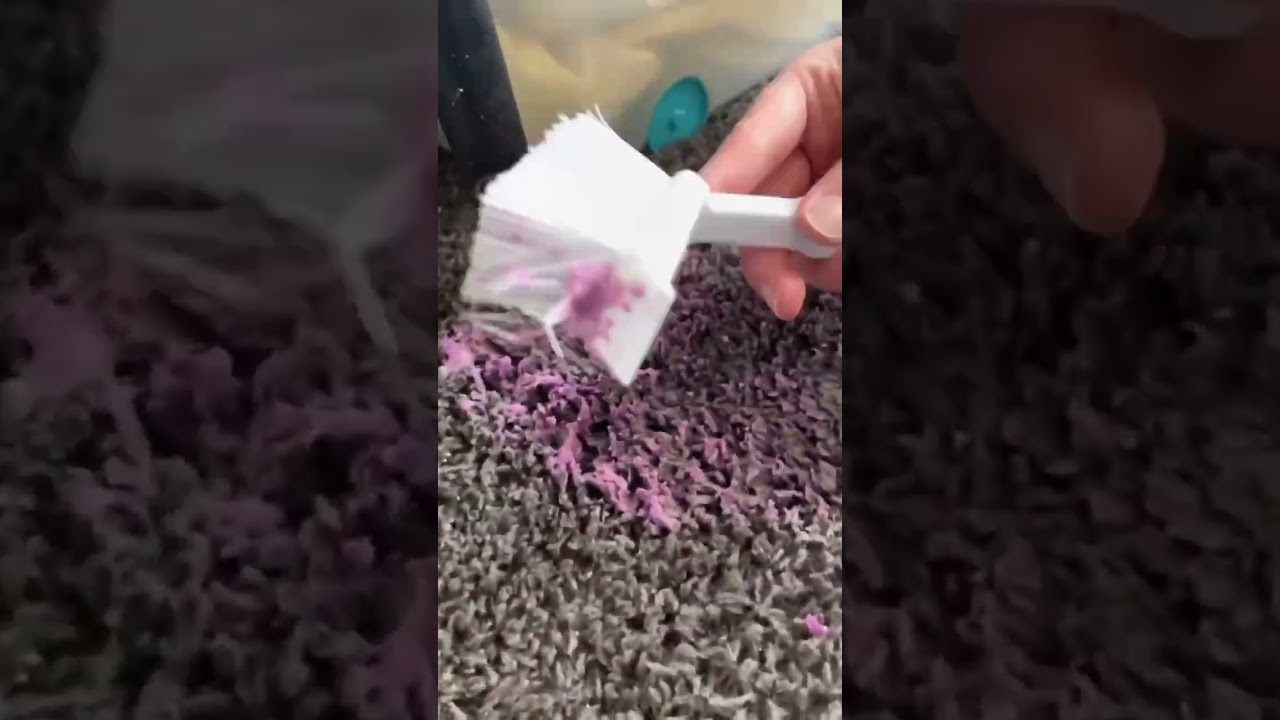 How to Get Slime out of Carpet