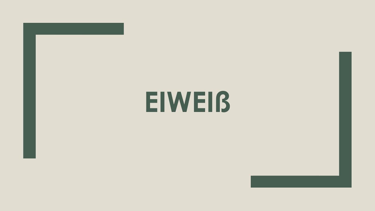 Eiwei&szlig; einfach und kurz erkl&auml;rt