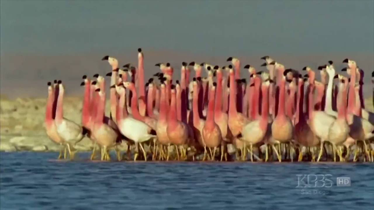 De persdag in vogelvlucht