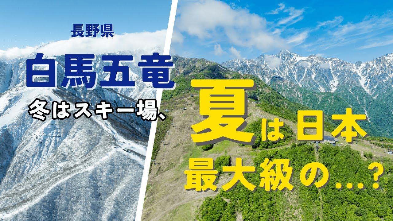 白銀世界から絶景の花畑へ！白馬五竜の知られざる夏の魅力