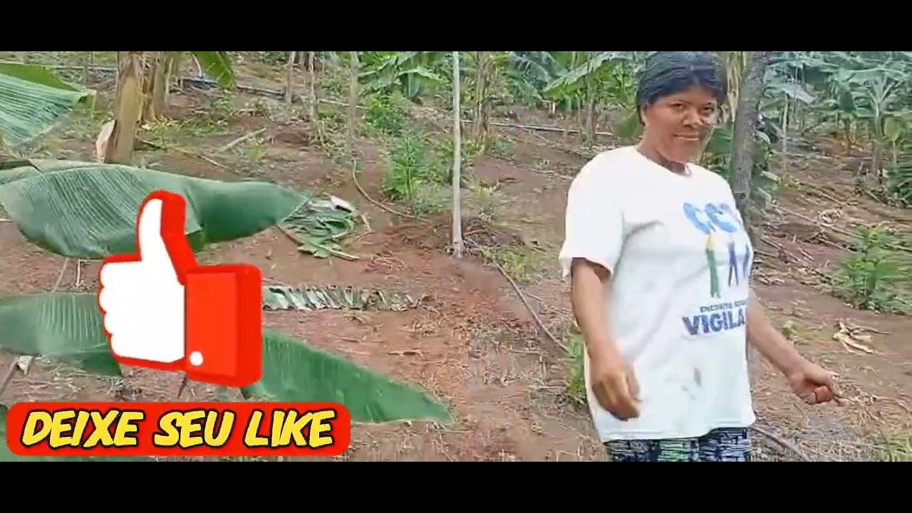 ITAITU VIDA RURAL: MAIS UM DIA DE ATIVIDADES NO SÍTIO🌳