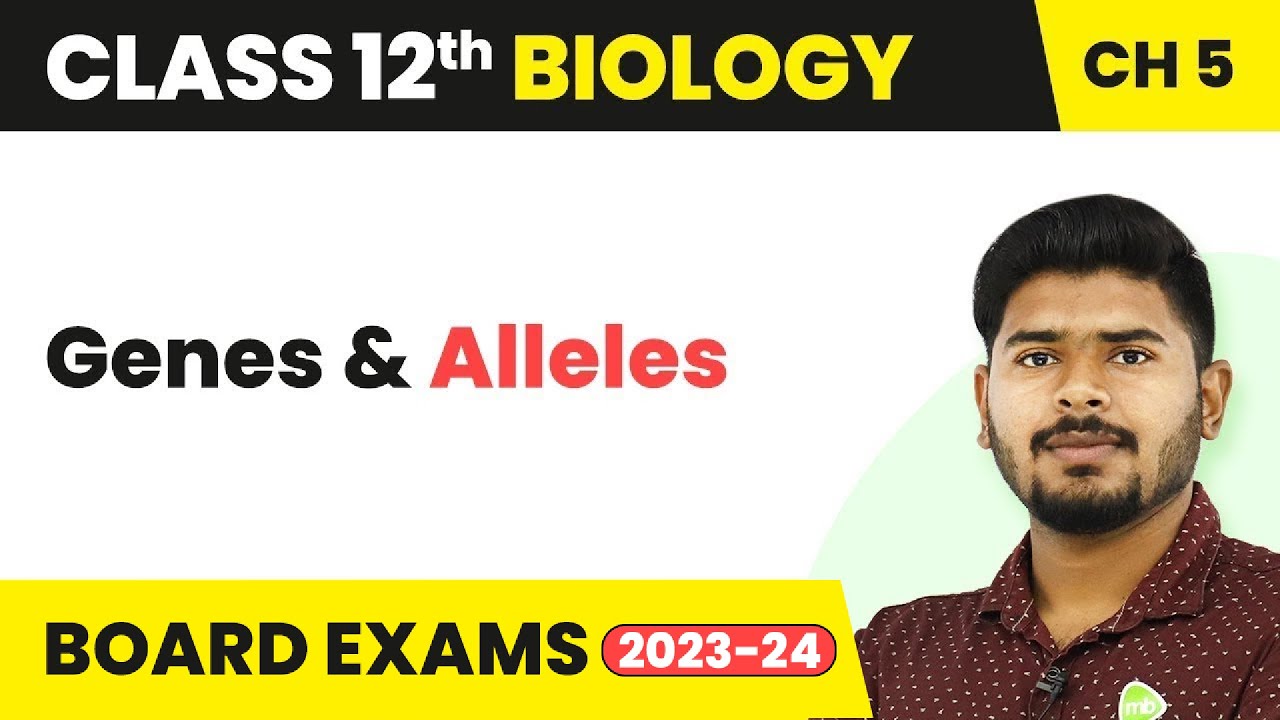 Genes and Alleles - Principles of Inheritance and Variation | Class 12 Biology (2022-23)