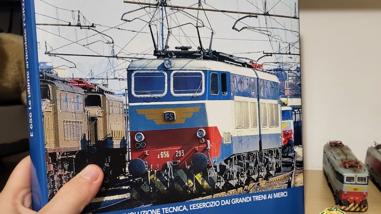 Spiegazione libro del 656 Caimano