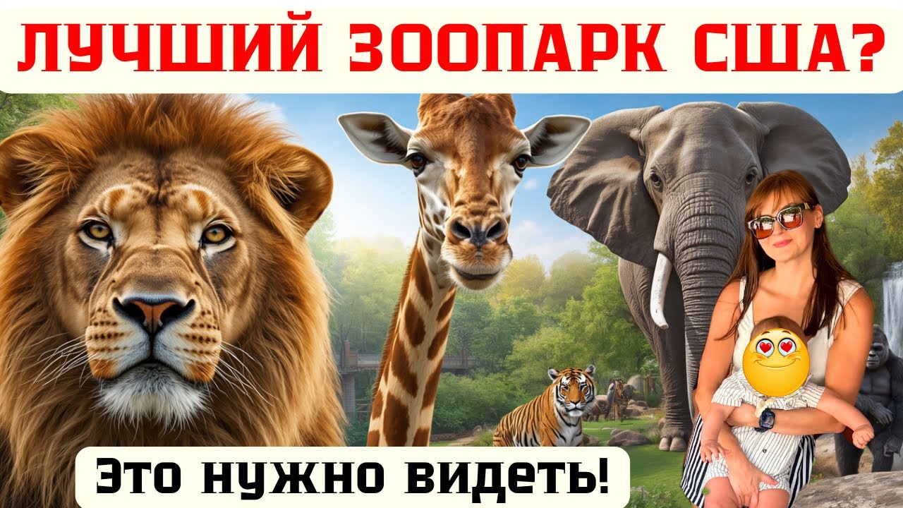 Один из ЛУЧШИХ ЗООПАРКОВ США! 🦁100 ЛЕТ ИСТОРИИ😳