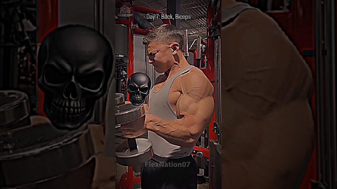 THE ULTIMATE MUSCLE BUILDING Split (Chest Legs Back & Arms)