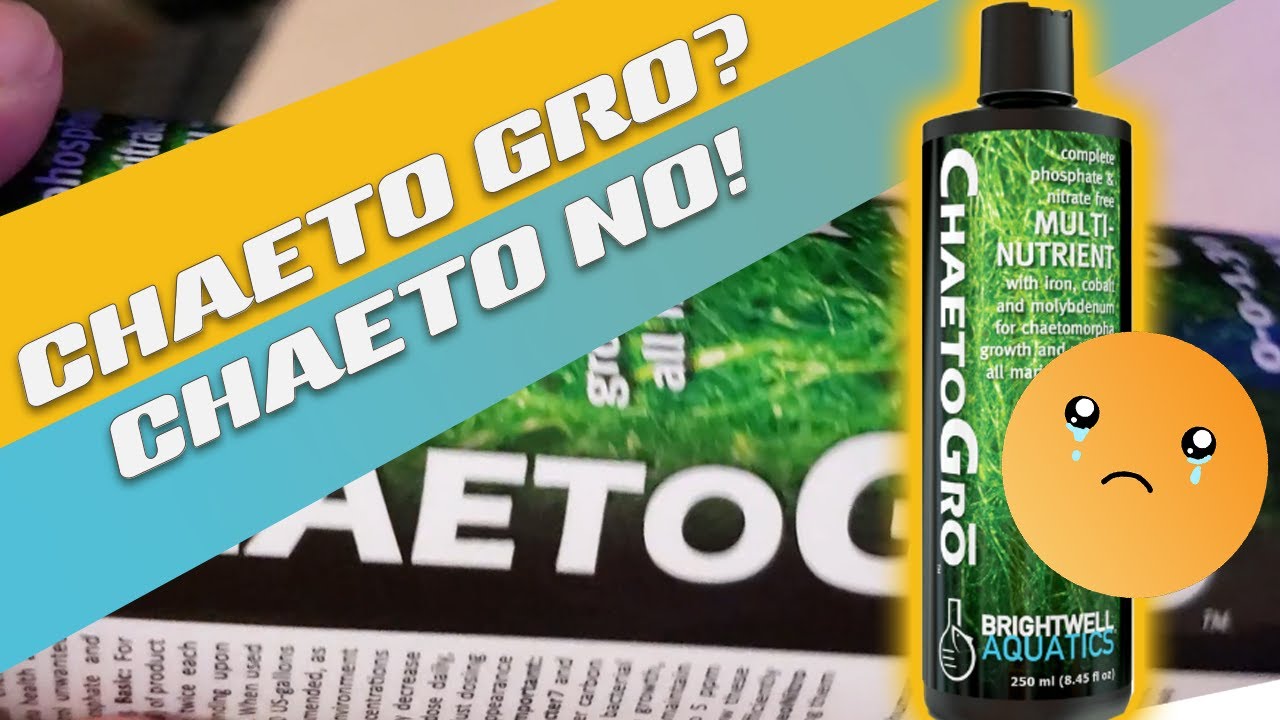 Watch this video before you use Brightwell Aquatics' ChaetoGro!