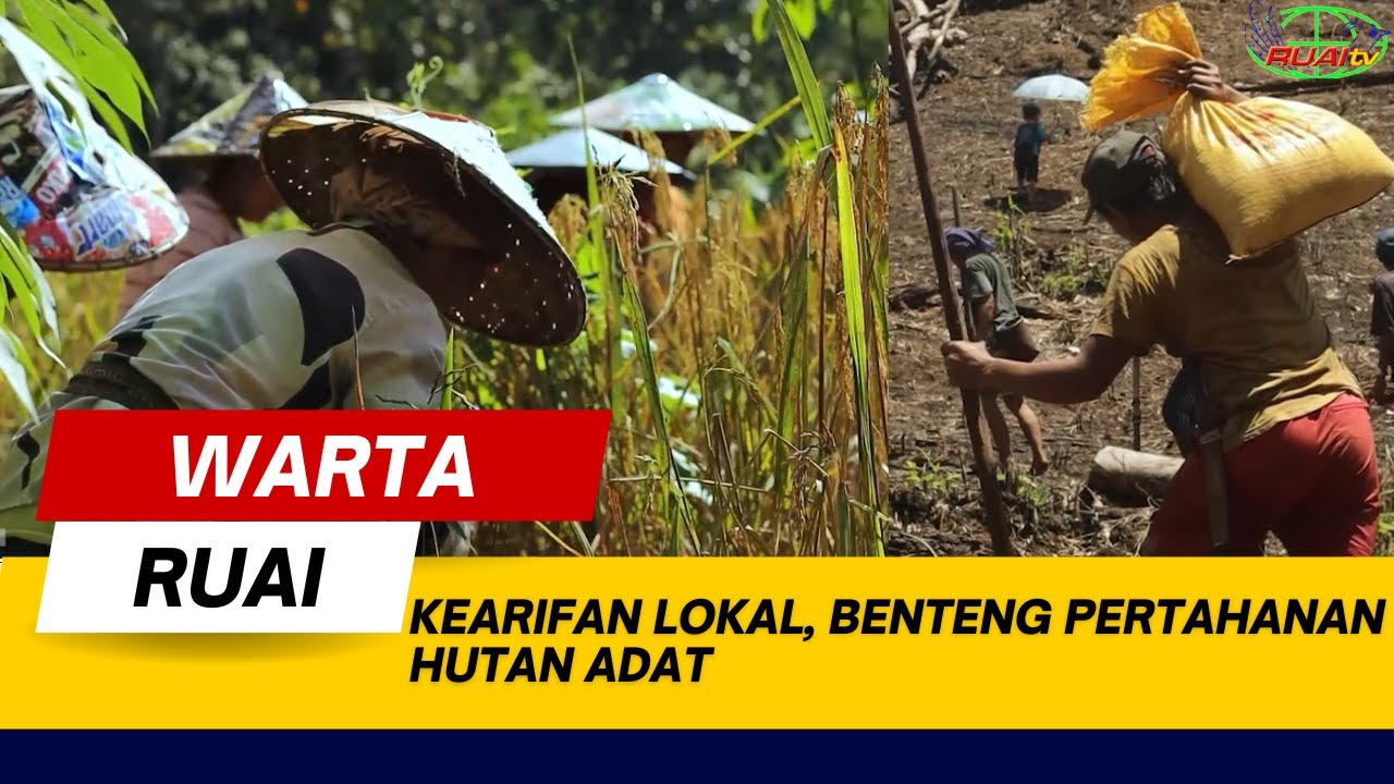 KEARIFAN LOKAL, BENTENG PERTAHANAN HUTAN ADAT