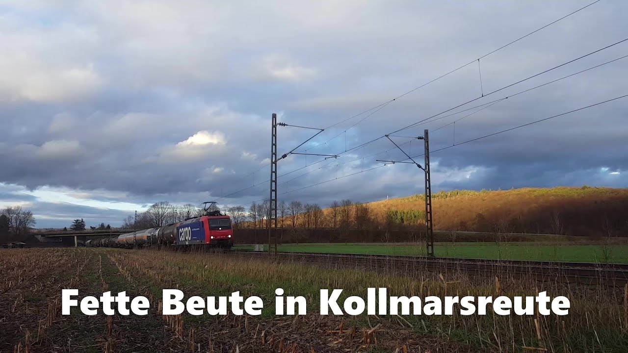 Fette Beute in Kollmarsreute - Dezember 2020