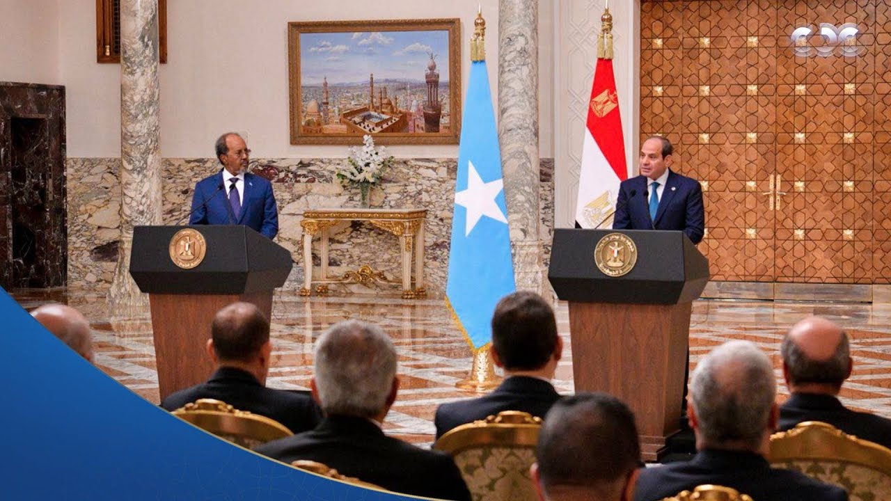 ضرورة تأمين البحر الأحمر وخليج عدن.. كلمة الرئيس السيسي خلال المؤتمر الصحفي مع نظيره الصومالي