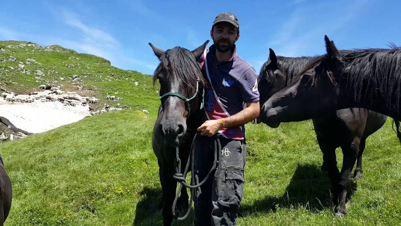 Clement et le Merens HPS