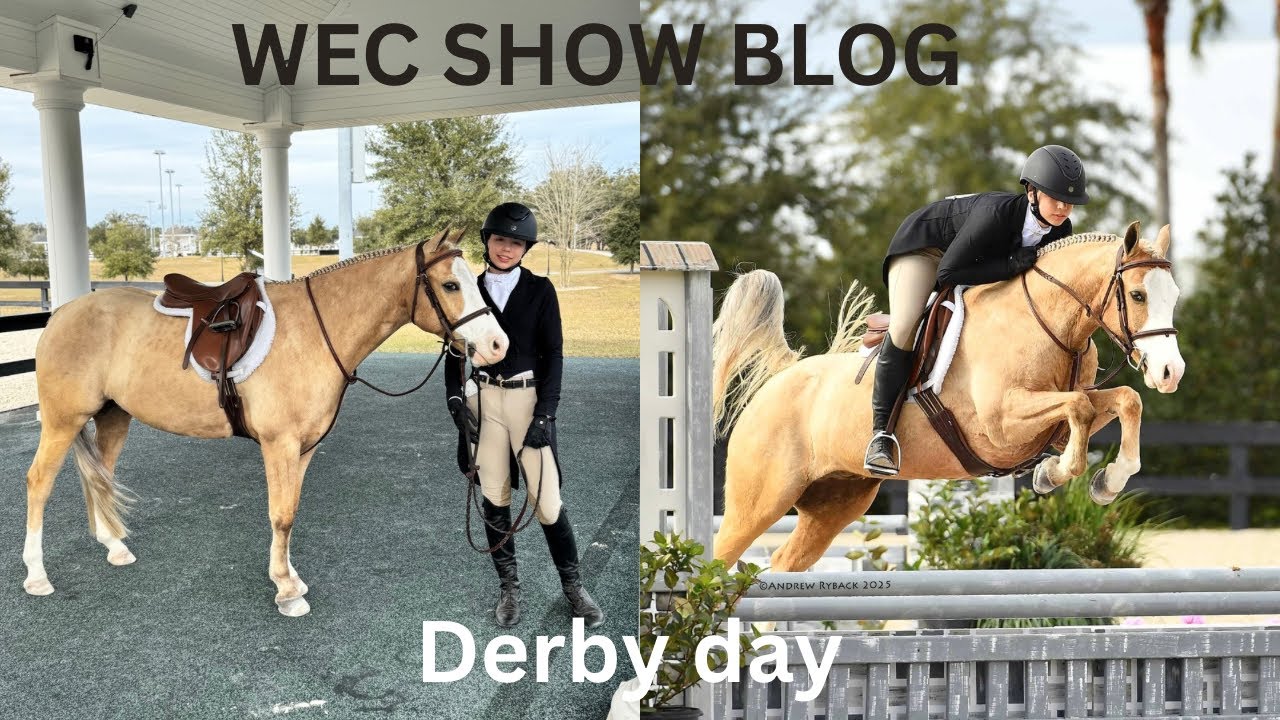 The World Equestrian Center show blog | Derby day | Grand prix night | How many times did i fall? 