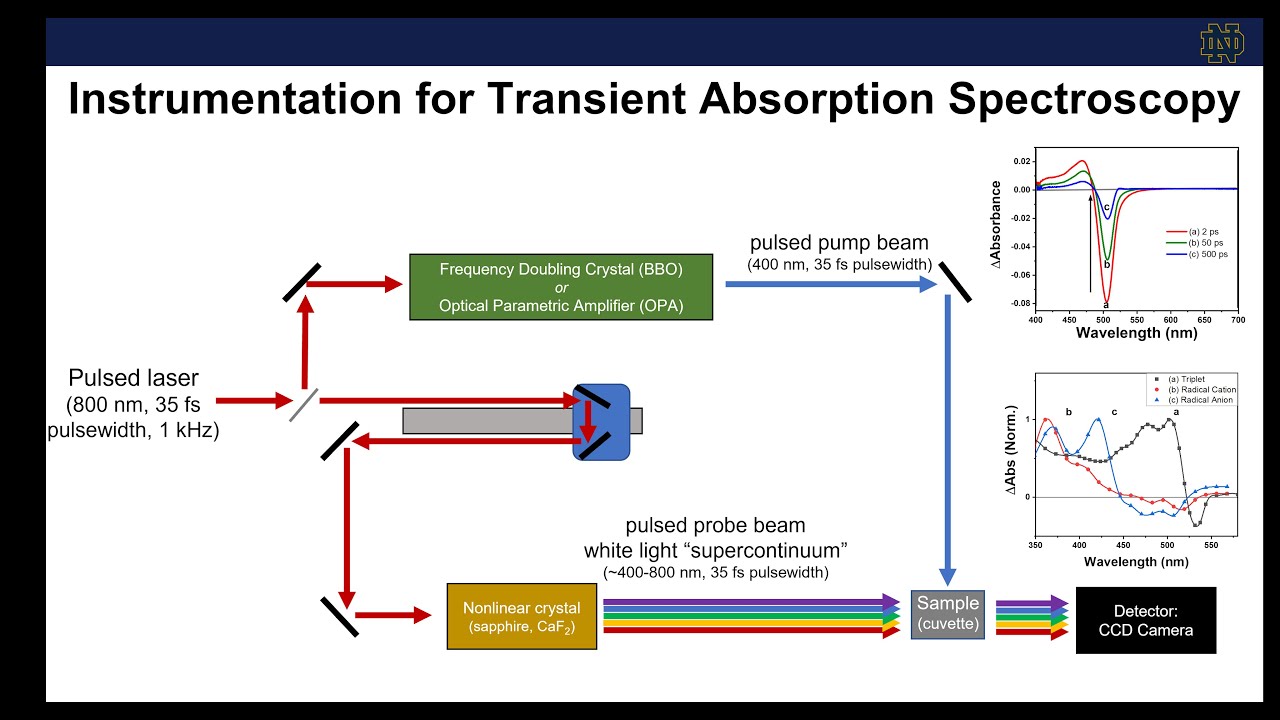 Instrumentation for Nanosecond and Femtosecond Transient Absorption Spectroscopy - Part 2