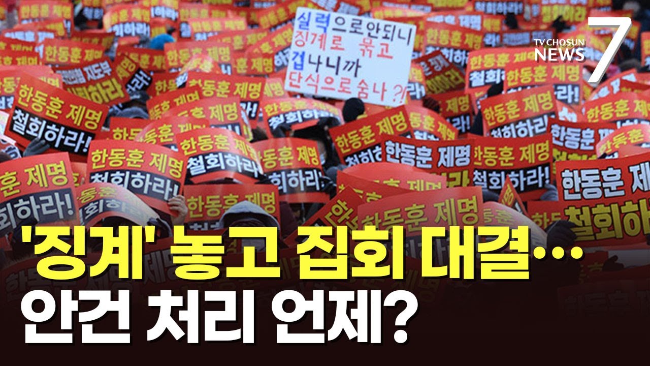 국회 앞에 모인 한동훈 지지자들 