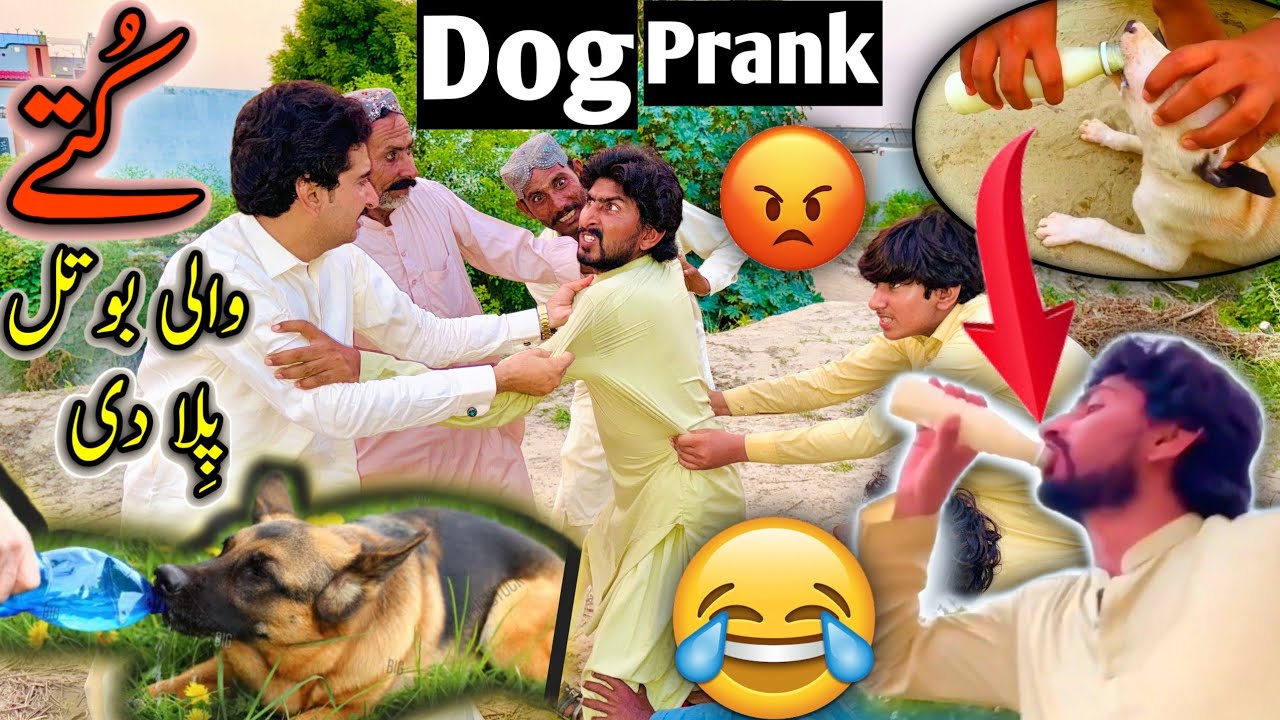 Kuty Wali Botal Pela Di 😳😡لڑائی ہوگئی 😡Dog Prank 🐕 😱😳
