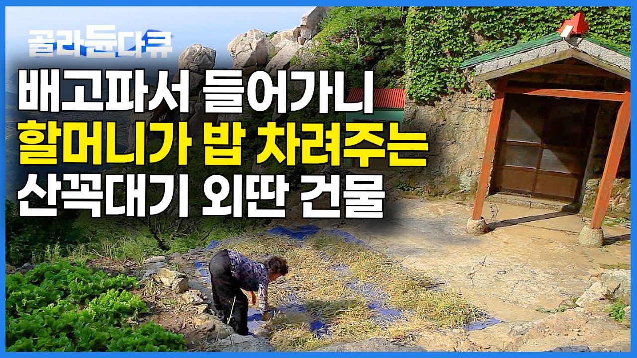 누가 밥 먹으러 오면 버선발로 뛰어 나오는 할머니. 산꼭대기 절벽 외딴 건물에서 1박하면 벌어지는 일｜한국기행｜#골라듄다큐