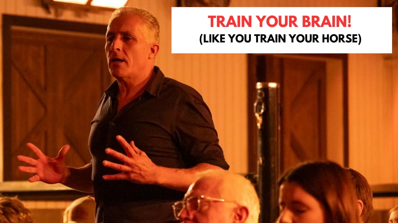 Train Your Brain Like You Train Your Horse (Your Full Guide)