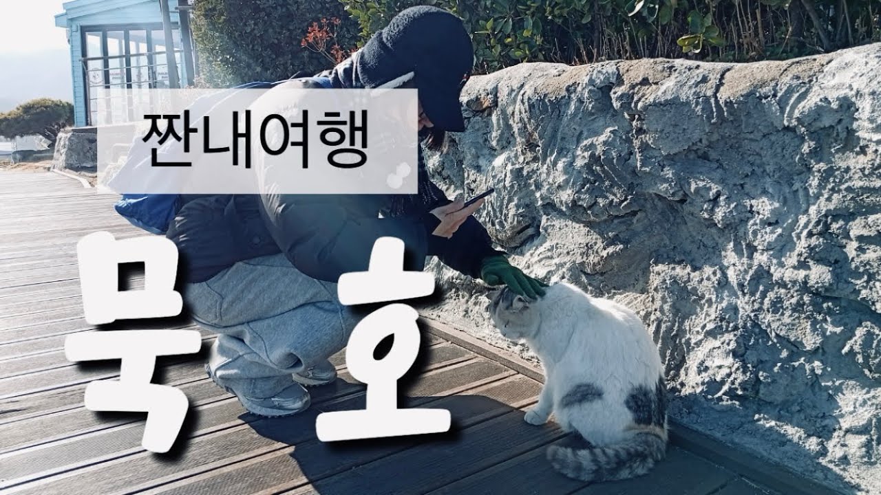 묵호 짠내여행~ 저렴하게 다녀왔습니다🤗#강원도#묵호#기차여행 #바다 #cat #힐링 