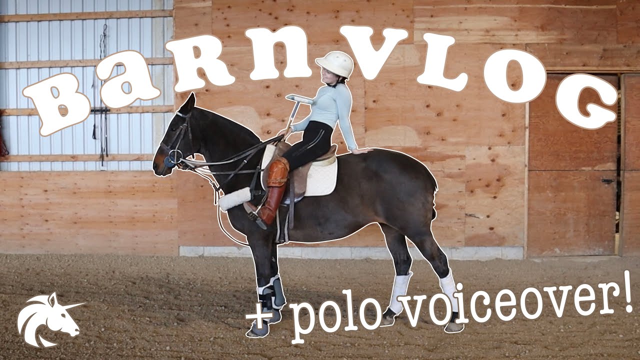 BARN VLOG | Working With Ophelia + Polo Voiceover! | Hailey Liberty