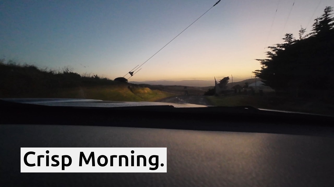 New Zealand Crisp Clear Morning – Whitireia Park Cliff Track
