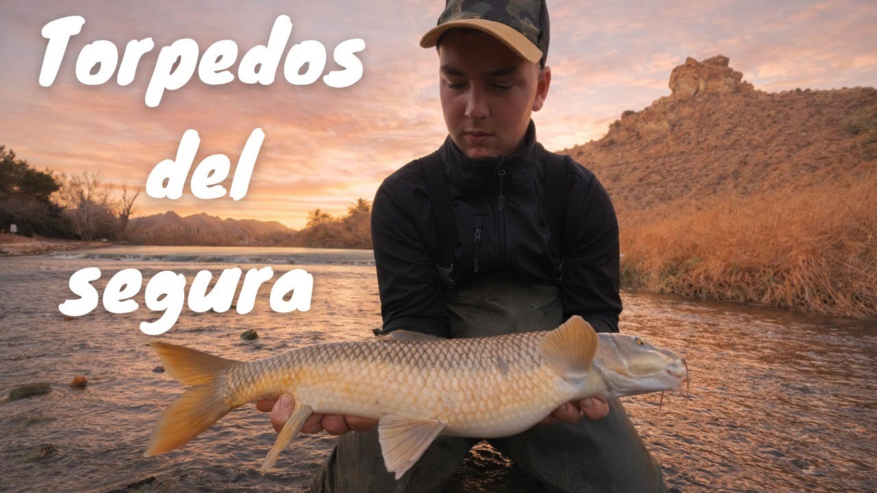 Pesca de barbos a la ova | Rio Segura